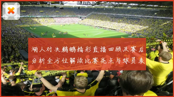 湖人对决鹈鹕精彩直播回顾及赛后分析全方位解读比赛亮点与球员表现