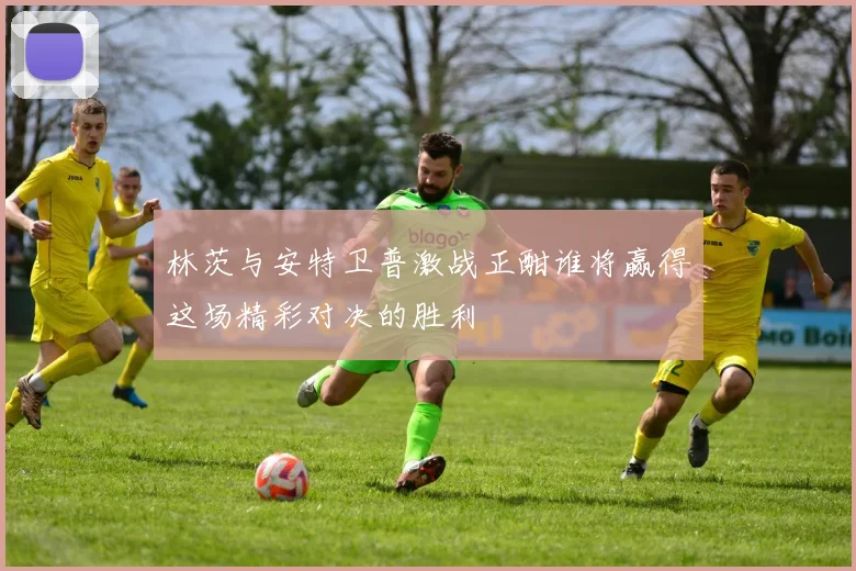 林茨与安特卫普激战正酣谁将赢得这场精彩对决的胜利