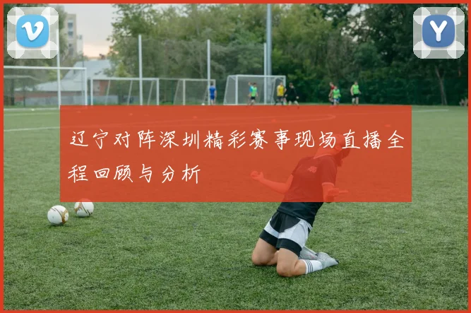 辽宁对阵深圳精彩赛事现场直播全程回顾与分析