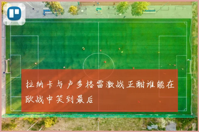 拉纳卡与卢多格雷激战正酣谁能在欧战中笑到最后