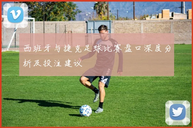 西班牙与捷克足球比赛盘口深度分析及投注建议