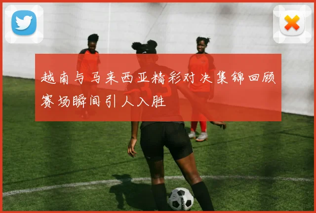 越南与马来西亚精彩对决集锦回顾赛场瞬间引人入胜