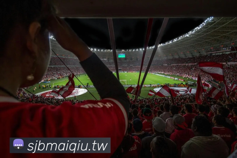 多媒体互动体验